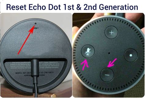 Echo Dot reset